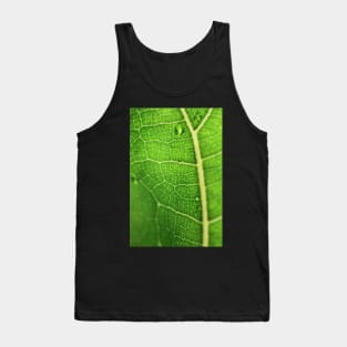 Fiddle Leaf Ficus Tank Top